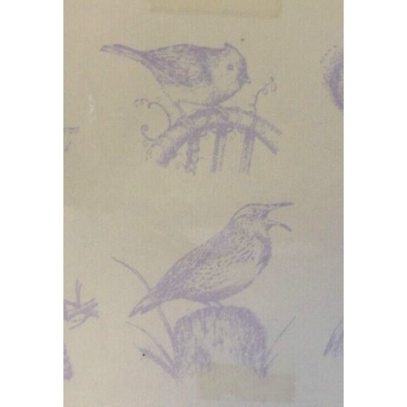 COPY - Birds Set of 7 Unmounted Stamps Unbranded #T907 Wren, Cardinal, Hummingb… - Picture 3 of 8